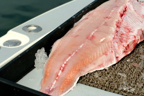 Un King salmon selvatico